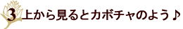 内側無地のシンプルカード